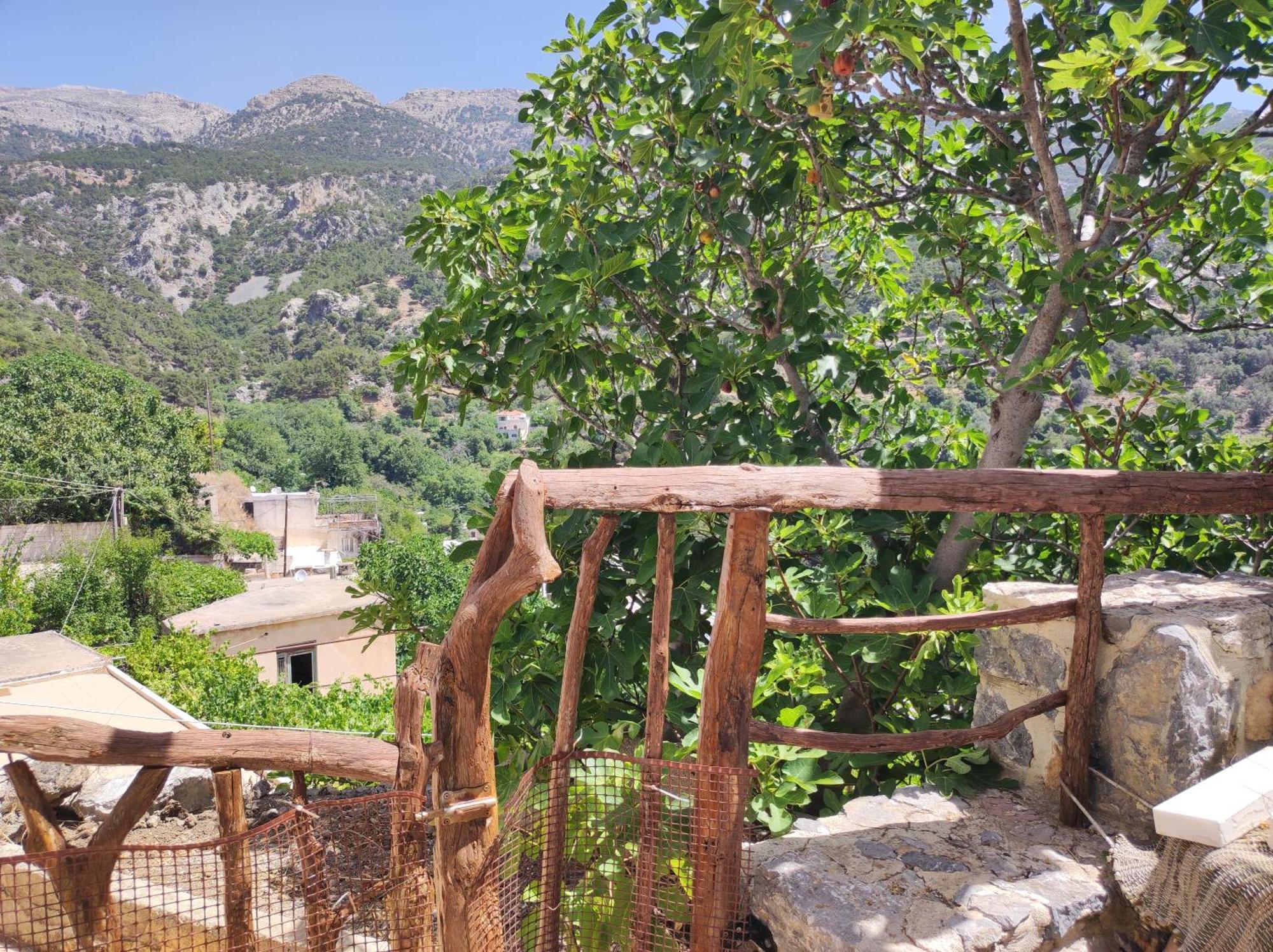 Villa Kato Symi House Kato Simi Exterior foto